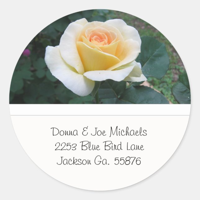 Stickers d'adresse rose jaune (Devant)