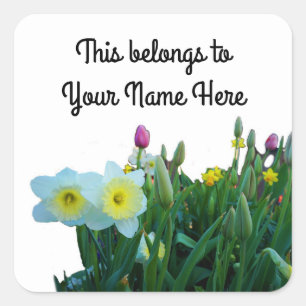 Stickers Daffodil #2 gros bonnets