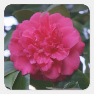 Stickers Daikagura Red Camellia