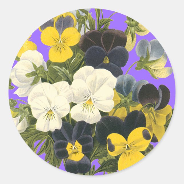 Stickers d'art botanique Pansy Violets (Devant)
