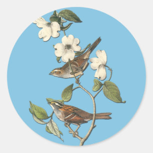 Stickers d'art d'Oiseaux d'Oiseaux d'Audubon blanc