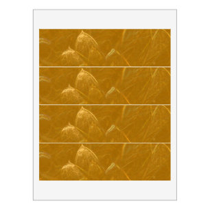 Stickers de 4 pièces de grande taille 8,25 po x 2,