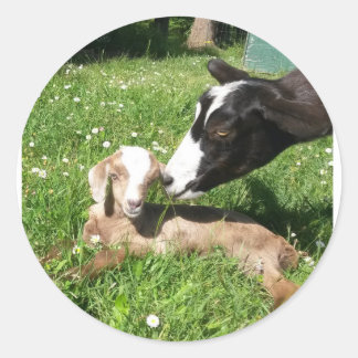 Stickers de chèvre série 6