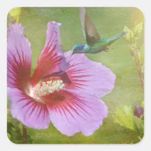 Stickers de collecte des colibris