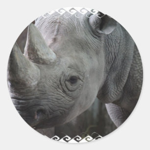 Stickers de faits Rhino