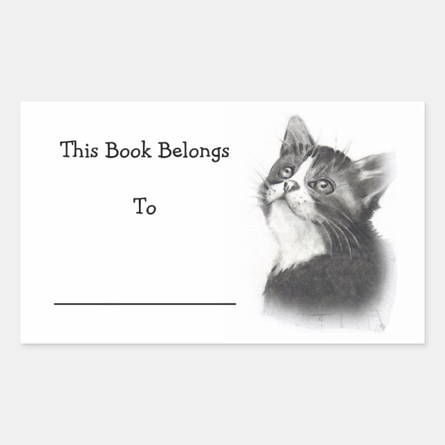 Stickers de livre : Dessin au crayon de chaton (Devant)