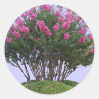 Stickers de monticules de myrte rose