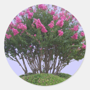 Stickers de monticules de myrte rose