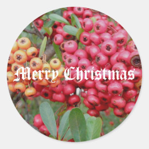 Stickers de Noël aux baies rouges