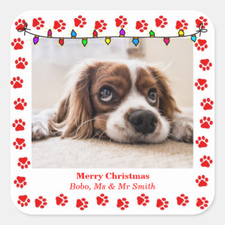 Stickers de Noël mignons avec photos et pattes per