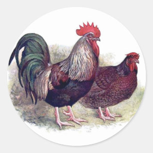 Stickers de poulet coloré