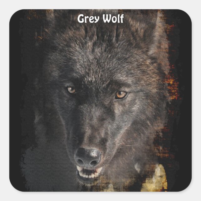 Stickers de soutien à la faune Black GRAY WOLF (Devant)