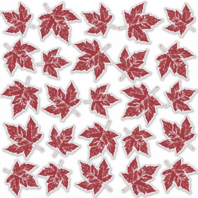 Stickers de vignes de la fenêtre Feuille d'érable  (Devant)