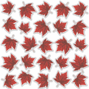 Stickers de vignes de la fenêtre Feuille d'érable 