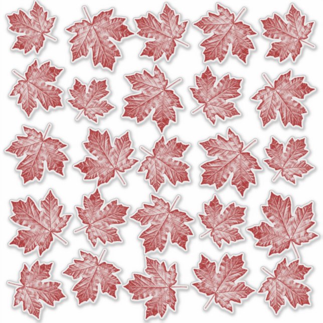 Stickers de vignes de la fenêtre Feuille d'érable  (Devant)