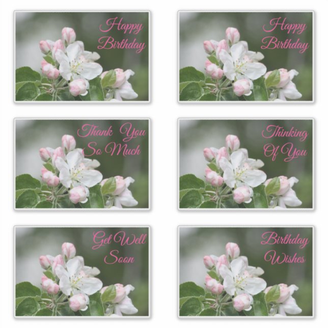 Stickers Décoratifs Pour Toutes Les Occasions (Devant)
