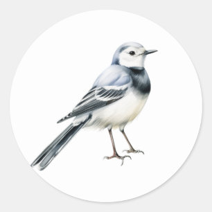 Stickers d'oiseaux en queue blanche