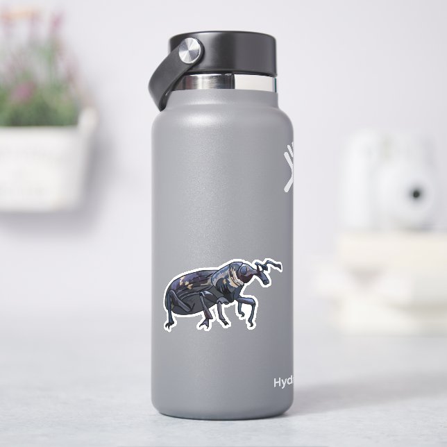 Stickers d'ordinateur portable de bouteille d'eau  (HydroFlask)