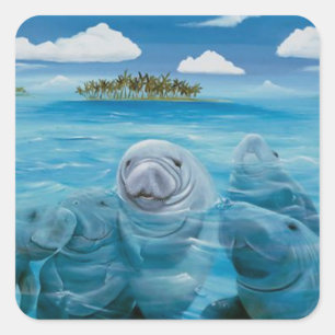 Stickers doux Manatee brillant Carré