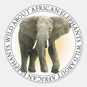 Stickers Eléphants Africains