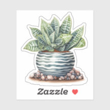Stickers En Céramique Pot Vinyl Succulent