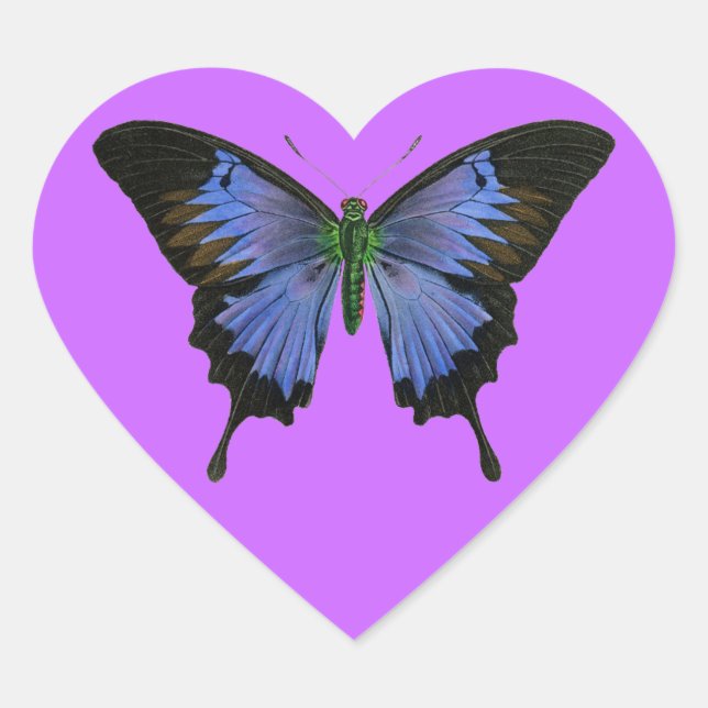 Stickers en forme de coeur de papillon bleu (Devant)