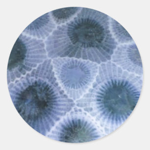 Stickers en pierre gris-bleu