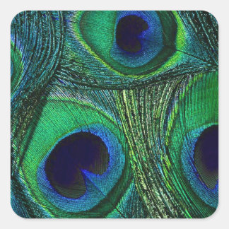 Stickers en plumes bleu vert turquoise / Sceau