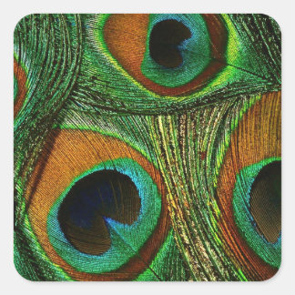 Stickers en plumes bleu vert turquoise / Sceau