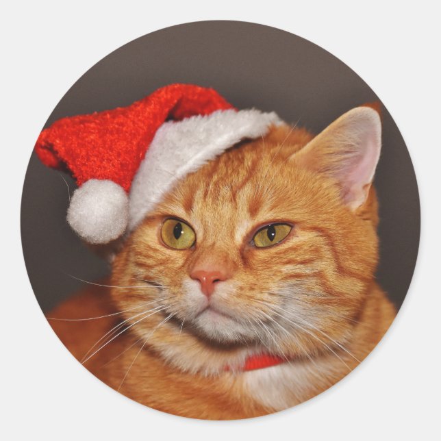 Stickers Enveloppe Chat Tabby Père Noël Orange (Devant)