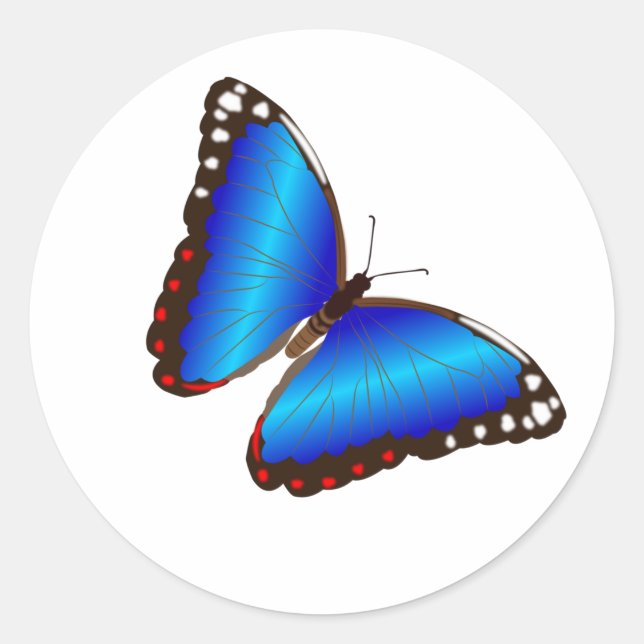 Stickers Enveloppe Papillon Bleu Stickers (Devant)