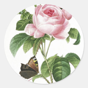 Stickers Enveloppe Papillon rose