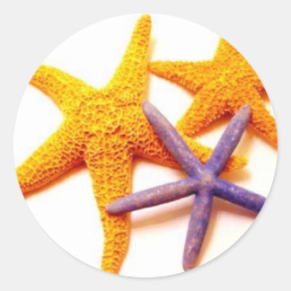 Stickers Été Starfish