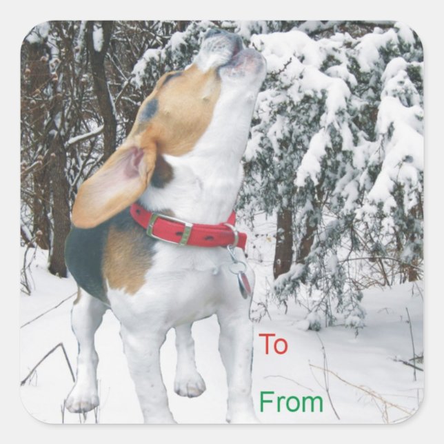 Stickers étiquette cadeau de Noël enneigé Beagle H (Devant)