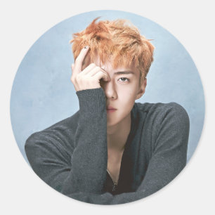 Stickers EXO Sehun