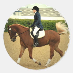 Stickers Extensions Dressage