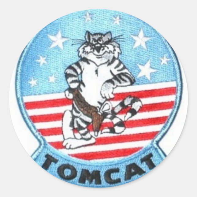 STICKERS F-14 TOMCAT JET FIGHTER (Devant)