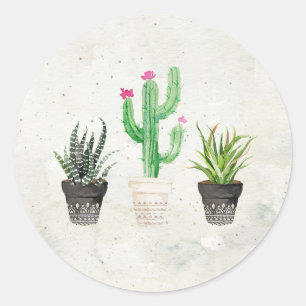 Stickers Favoriser les cactus Succulents du désert