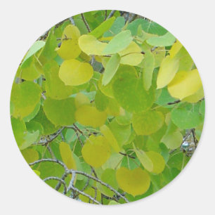 Stickers Feuille Aspen