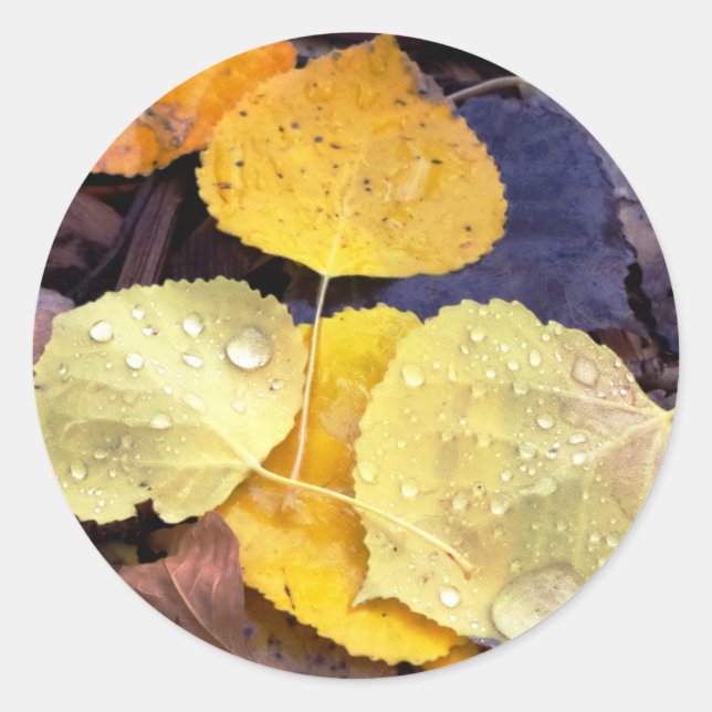 Stickers Feuille de Aspen Automne (Devant)