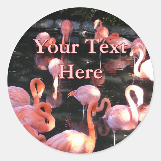 Stickers Flamant rose (Devant)
