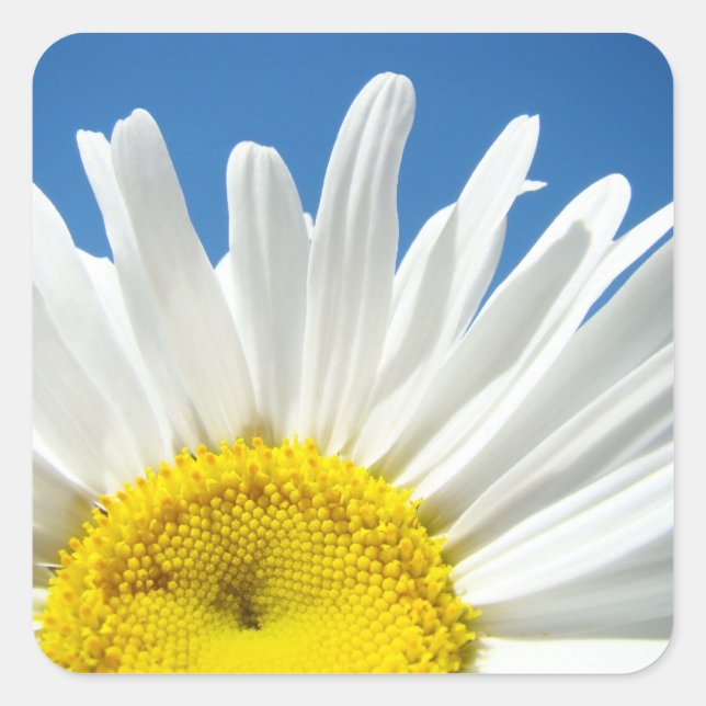 Stickers Fleur Faisy personnalisé Ajouter votre te (Devant)