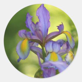 Stickers fleur Iris