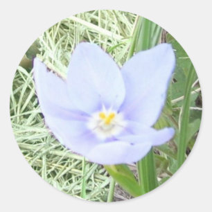 Stickers Fleur sauvage bleu souriant