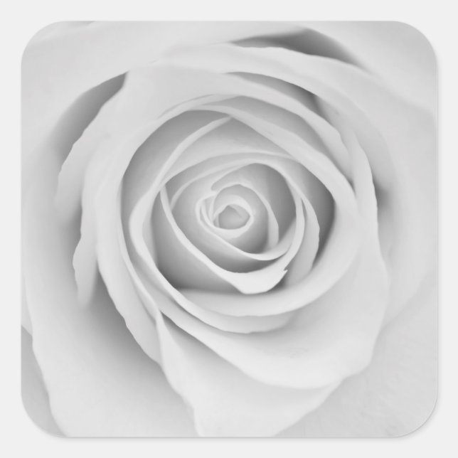 Stickers fleurs rose noire et blanche (Devant)
