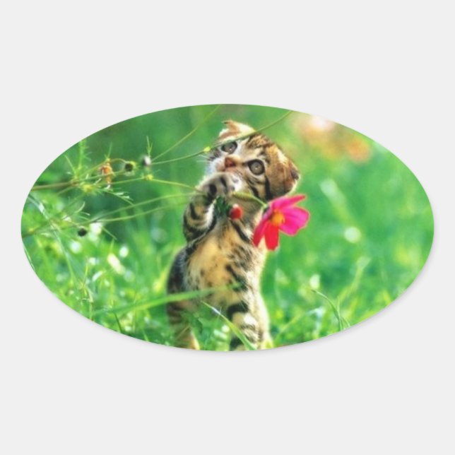 Stickers forme ovale Kitten (Devant)