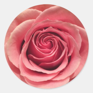 Stickers forme ronde rose