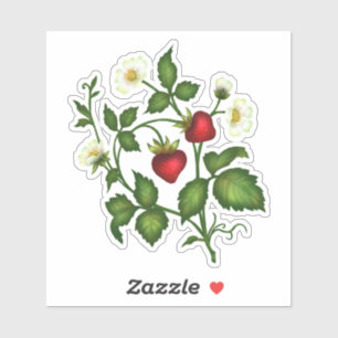 Stickers fraises