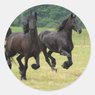 Stickers Friesian Horses Galloping
