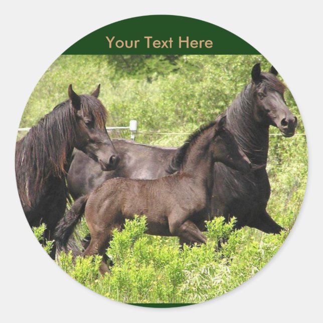 Stickers Friesian Mares #1 (Devant)